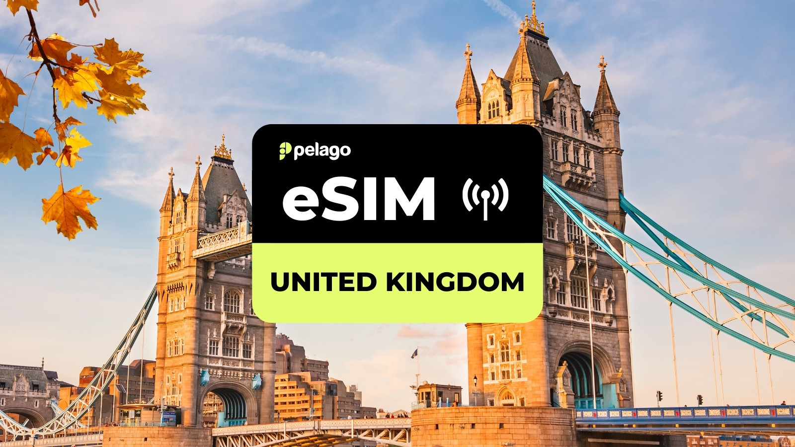 United Kingdom eSIM by Pelago - Photo 1 of 1